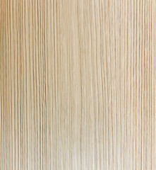 Wood texture. Wood texture for design and decoration