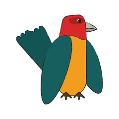 Beautiful parrot bird