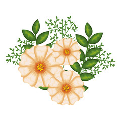 beautiful decoration floral icon