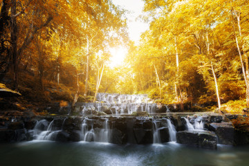 Sam Lan Waterfall is beautiful waterfall in tropical forest, Saraburi province, Thailand.