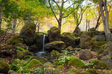 Japanese garden in autumn