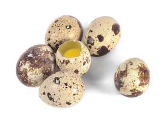Fototapeta premium quail eggs one is broken yolk is seen.