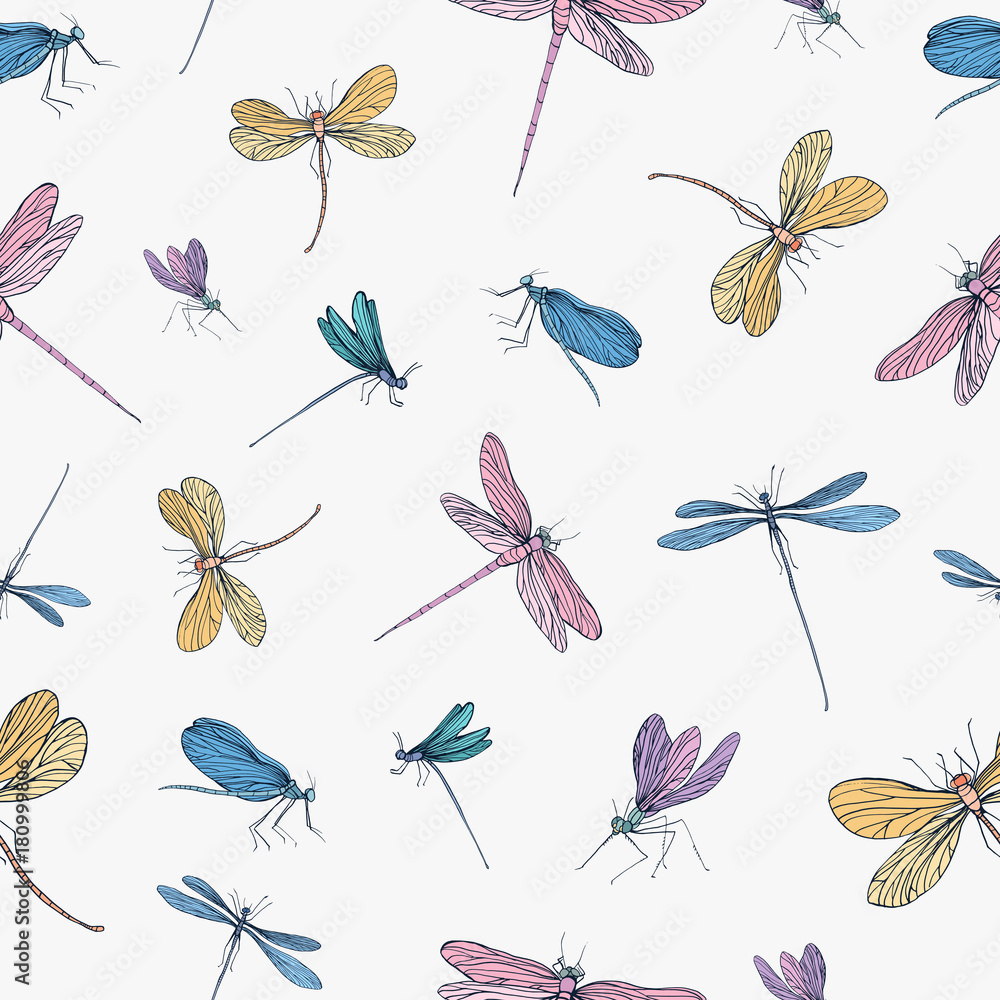 Poster seamless pattern with colorful hand drawn dragonflies on white background. backdrop with elegant fly