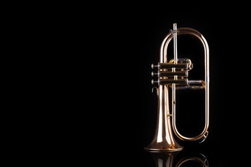 Trumpet, wind instrument