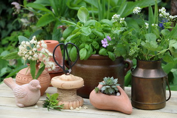 rustikale Gartendekoration mit Kräutern und Terracotta-Töpfen