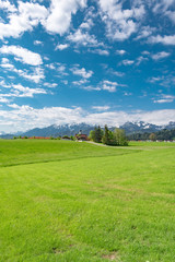 Herrliche Wiesenlandschaft in der Region Füssen im Allgäu, Hochformat