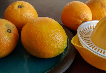 oranges and hand juicer on table
