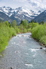 Fototapeta na wymiar Alpen - Oberallgäu, Gebirgsbach führt Schmelzwasser im Frühling