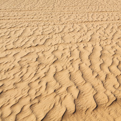 in oman the old desert and the empty quarter abstract  texture line wave
