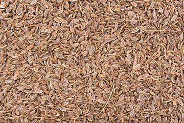 Pile of Caraway Seeds Background