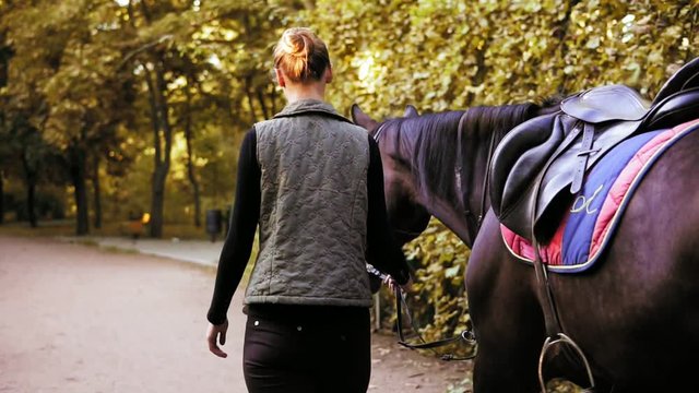 Back view of beautiful dark brown horse walking with young brunette jokey girl in the forest during sunny day