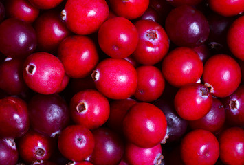 Red cranberries closeup as a texture