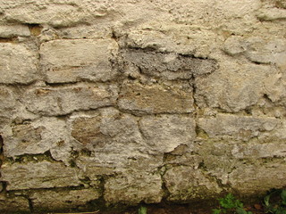 Texture old wall