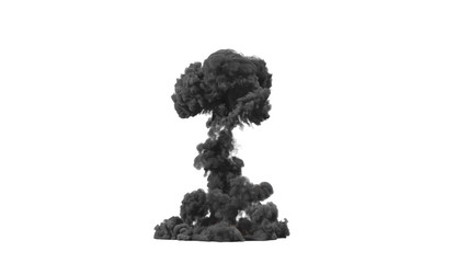 Fototapeta premium mushroom cloud from the explosion