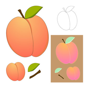 Cute Peach isolated on White Background. Vector illustration
