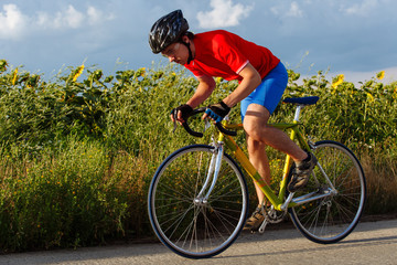 Fototapeta na wymiar A cyclist rides on a road bike along fields of sunflowers.