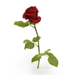 red rose isolated on white. 3D illustration