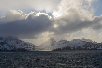 South Georgia landscape