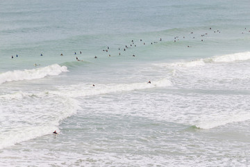 Surfers in Costao do Santinho beach