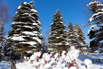 Fototapete bei efototapeten.de bestellen   