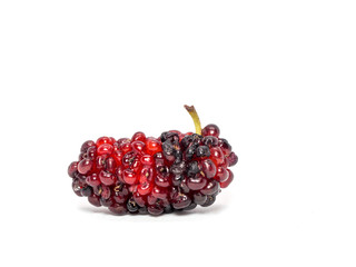 Group of mulberries isolated on white background. Mulberry this a fruit and can be eaten.