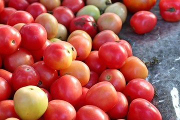 tomatoes at the market