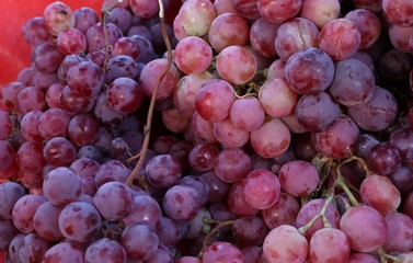 grape at street food