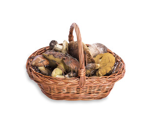 edible wild mushrooms in a brown wicker basket
