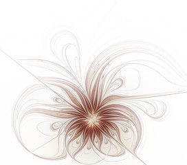 Abstract fractal patterned flower of chocolate color