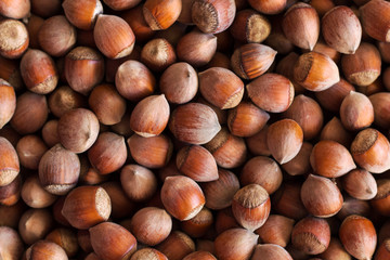 top view a handful of hazelnuts in shell texture walnut.