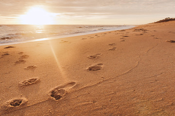 Fototapeta na wymiar walk on the beach