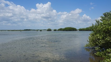 Lagune in Santa Lucia auf Kuba, Karibik
