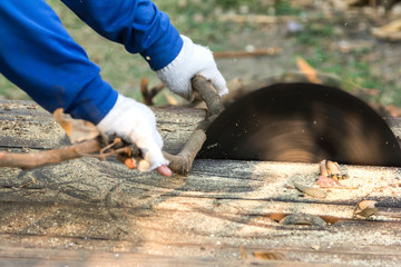 Man working with old handmade circular saw blade