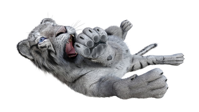 3D Rendering White Tiger on White