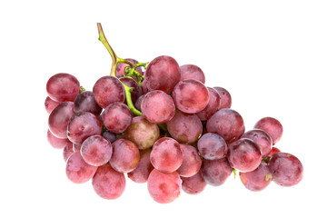 Red grape