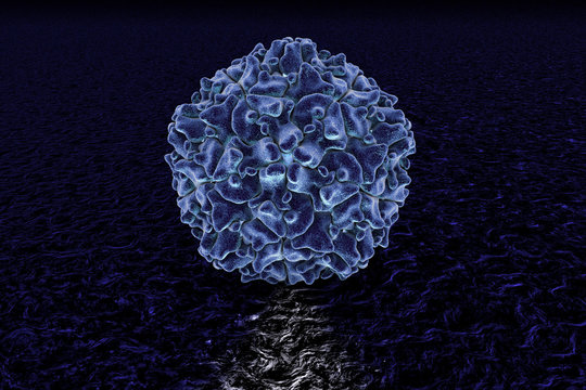 Poliovirus, 3D Illustration. The Virus Transmitted By Water And Causes Poliomyelitis 