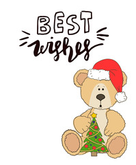 teddy with christmas hat and gift box
