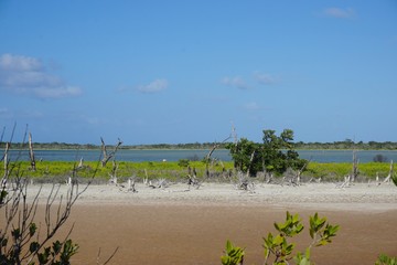 Lagune mit Mangroven, Wasservögeln und Flamingos in Santa Lucia auf Kuba, Karibik 