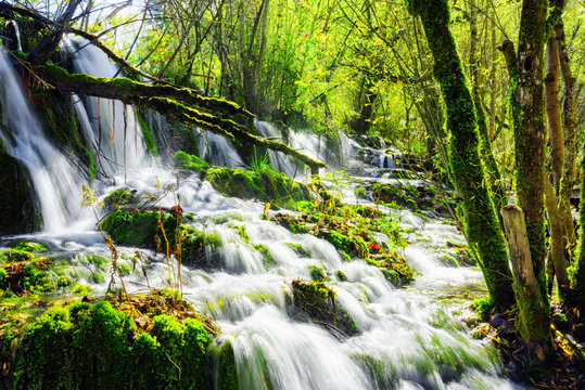 Fototapeta Niesamowity wodospad z krystalicznie czystą wodą wśród zielonych lasów do pokoju
