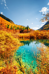 Autumn forest reflected in pond with azure crystal clear water