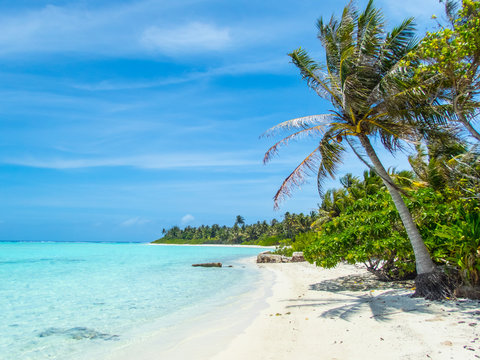 Plage paradisiaque