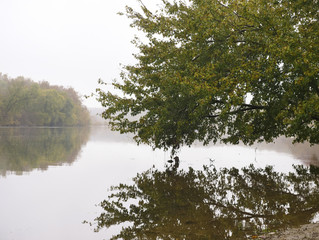 Fototapeta na wymiar Tree reflected in the water of the Potomac River