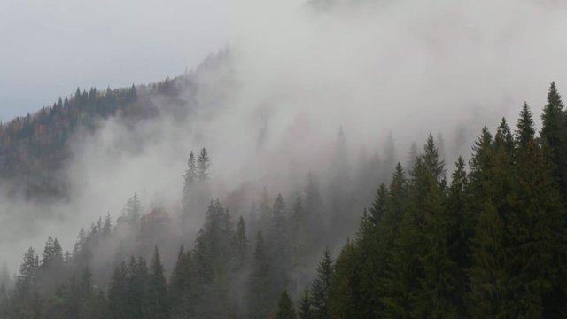 foggy landscape with moving fog
