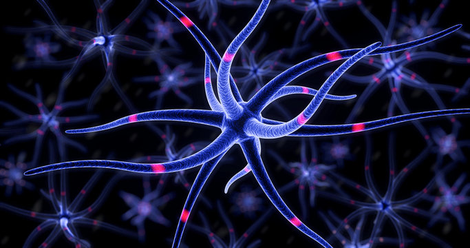 Gehirnzellen Neuronen