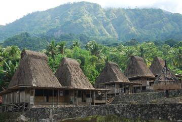 Fototapeta na wymiar Village traditionnel Ngada prés de Bajawa, île de Florès, Indonésie