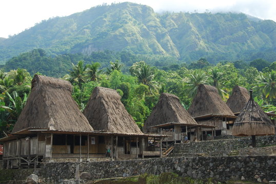 Village traditionnel Ngada pr&eacute;s de Bajawa, &icirc;le de Flor&egrave;s, Indon&eacute;sie