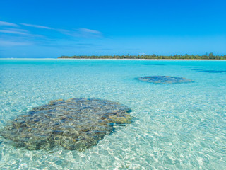 Voyage de rêve © Tomfry