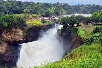 Murchison Falls, Uganda, Africa - obrazy, fototapety, plakaty