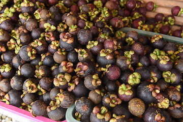 Mangosteen
