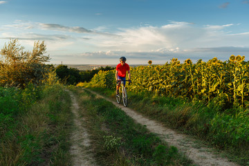 Fototapeta premium The cyclist in red blue form goes along fields of sunflowers. In background a beautiful blue sky.